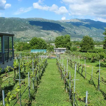 Stone & Vineyard *