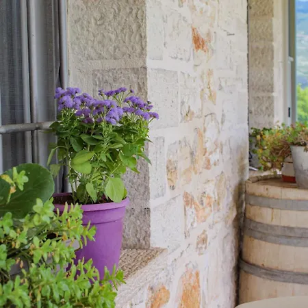 Stone & Vineyard